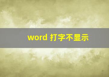 word 打字不显示